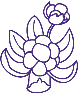 Cloudberry-purple Cloudberry purple