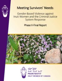 Meeting Survivors Needs cover image