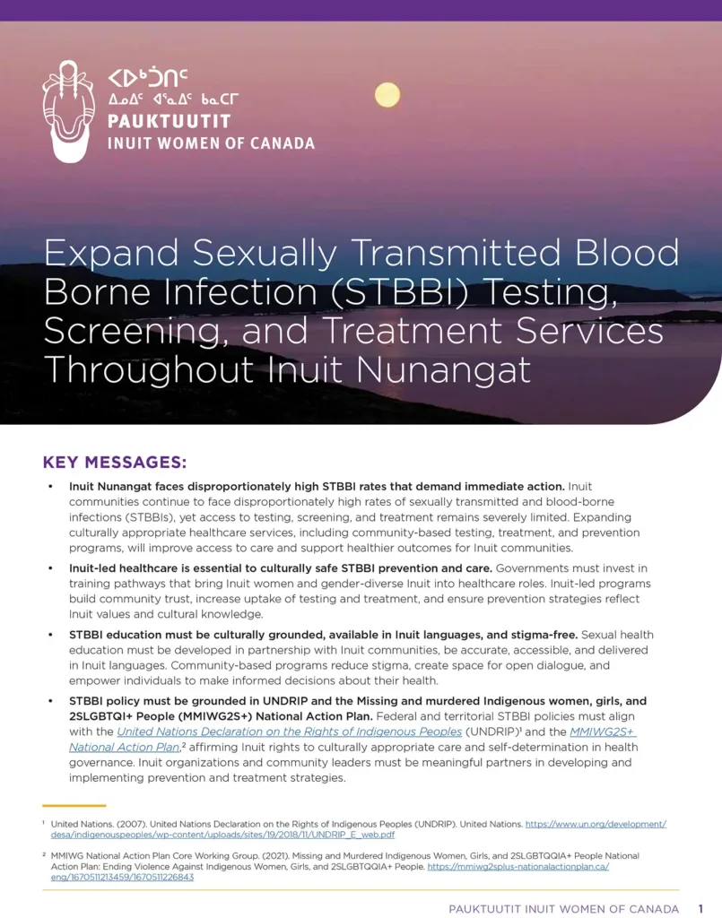 PAUKTUUTIT Brief STBBI Policy EN cover